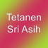 Tetanen