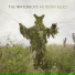The Waterboys