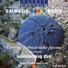 Klapa Fortunal