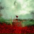 Sarah Menescal - Mixed By: Umut Torun