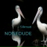 Noisedude