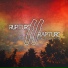 Rupture Rapture