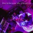 Harmônicos do Universo