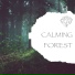 Natural Spirit, Nature Sounds