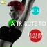 Ameritz - Tributes