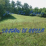 Shadow Of Green