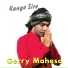 Gerry Mahesa