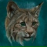 Bobcat, Vinci X