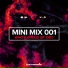Armin van Buuren vs. Vini Vici ft. Hilight Tribe