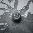 Manafest