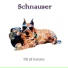Schnauser