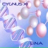 Cygnus X1