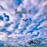 effex22