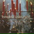Transglobal Underground