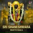 Narayanan Iyer, Smt.Savitha Narayanan Iyer