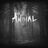 Mr. Animal
