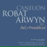 Rhys Meirioin, Robat Arwyn