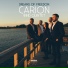 Carion