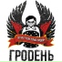 Только гусли-только хардкор