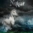 Nykur