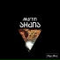 Martin Shans