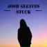 Josh Gleaves