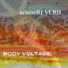 Robbie Reverb