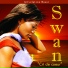 Swan Swan