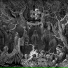 Darkened Nocturn Slaughtercult