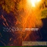 Zoo Brazil, Wolf & Moon[vk.com pioneerdjmusic]