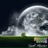 Gencer Savas