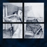 Lenparrot