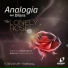 Analogia feat Dilar