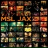 MSL JAX