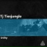 Tj Tiesjungle