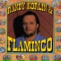 Randy Korlin, Flamingo