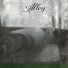 Alley