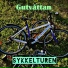 Gutvåttan