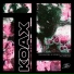 Koax