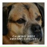 Relaxing Dog Chillout