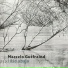 Marcelo Gutfraind