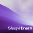 Dream Music Academy