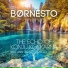 Børnesto