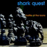 Shark Quest