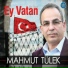 Mahmut Tülek