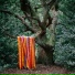 James Holden & The Animal Spirits