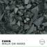 Ciava