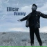 Elisar