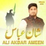 Ali Akbar Ameen