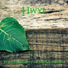 Hwyl